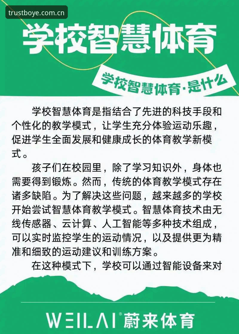 博业体育官方推荐下载不了怎么办 博业体育平台官方下载问题全面评测:解决“推荐下载不了”的深层逻辑与实用方案